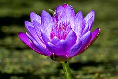 30: Murrells_2025-372