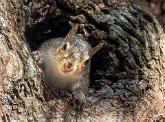 34: Murrells_2025-383