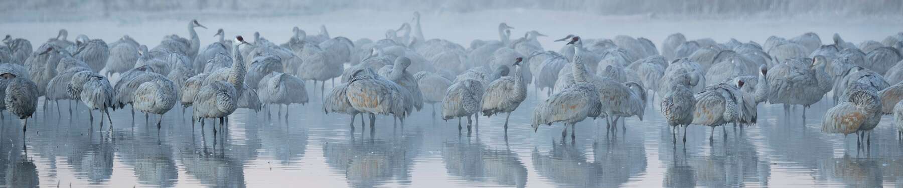 Click to show or hide the buttons