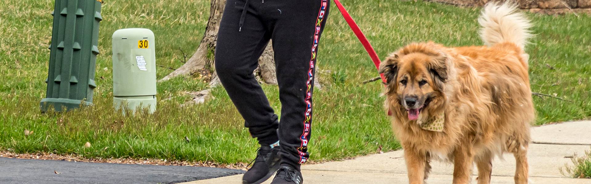 Click to show or hide the buttons