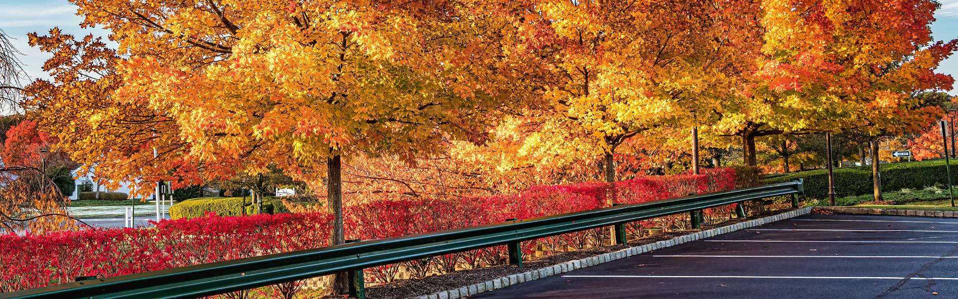 Click to show or hide the buttons