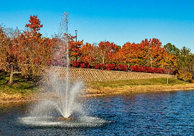 1: Renaissance Foliage_2021-1