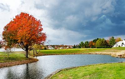 10: Renaissance Foliage_2021-10