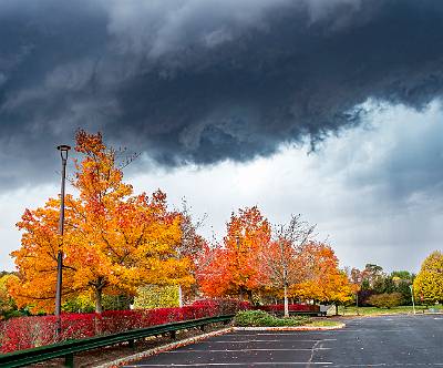 11: Renaissance Foliage_2021-11