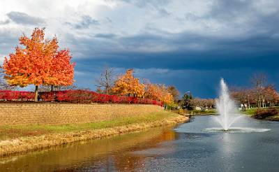 12: Renaissance Foliage_2021-12