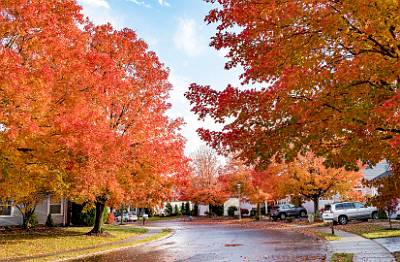 13: Renaissance Foliage_2021-13