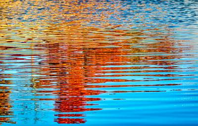 4: Renaissance Foliage_2021-4