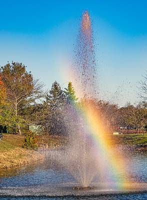 5: Renaissance Foliage_2021-5