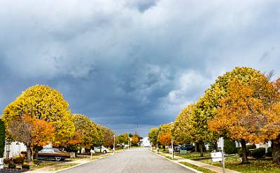 9: Renaissance Foliage_2021-9