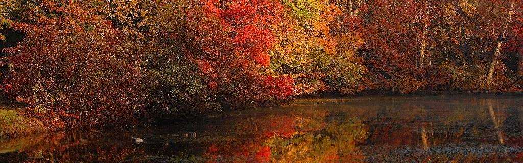 Click to show or hide the buttons