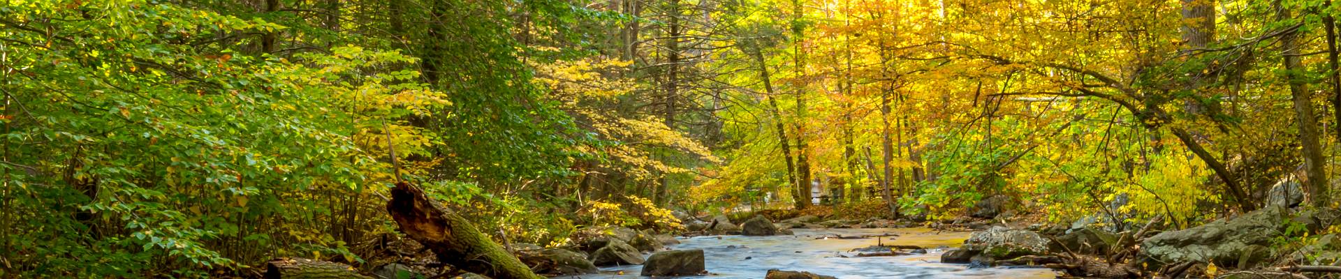 Click to show or hide the buttons