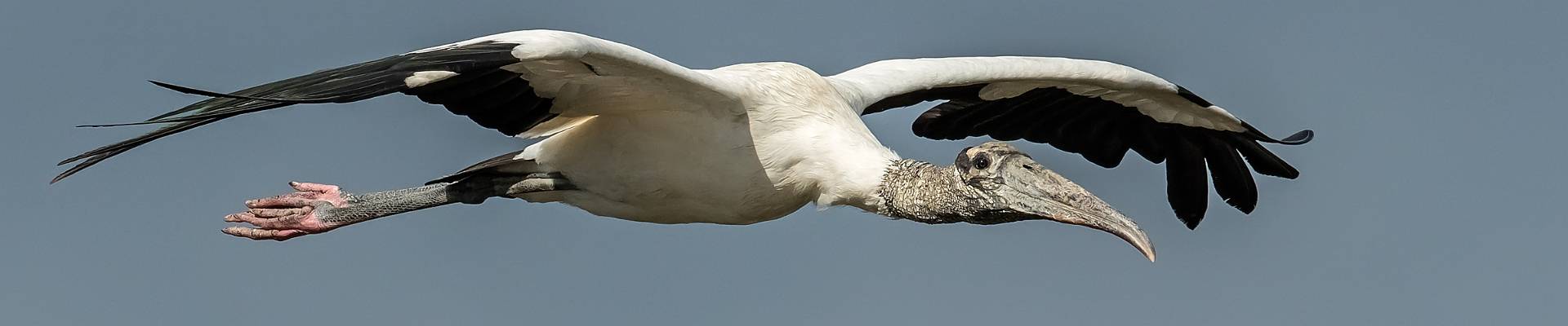 Click to show or hide the buttons