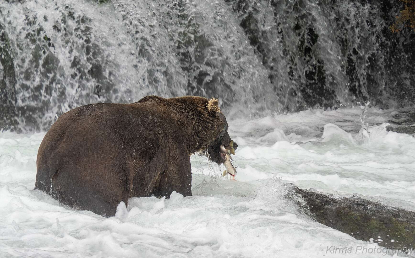 pic