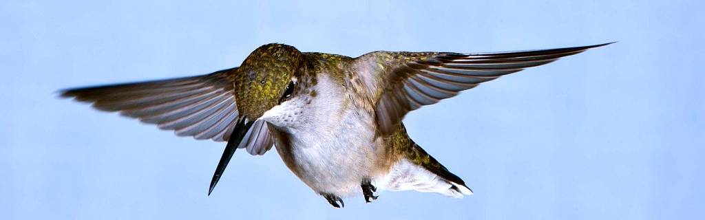 Click to show or hide the buttons