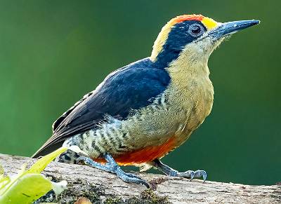 45: CostaRica_2024-132