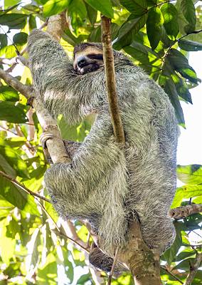 20: CostaRica_2024-48