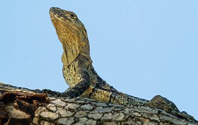 36: CostaRica_2024-78