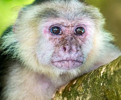 37: CostaRica_2024-84