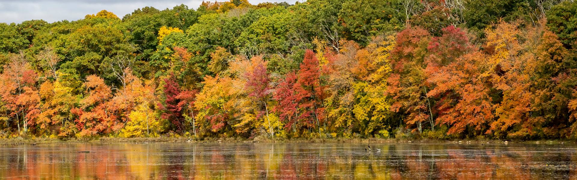 Click to show or hide the buttons