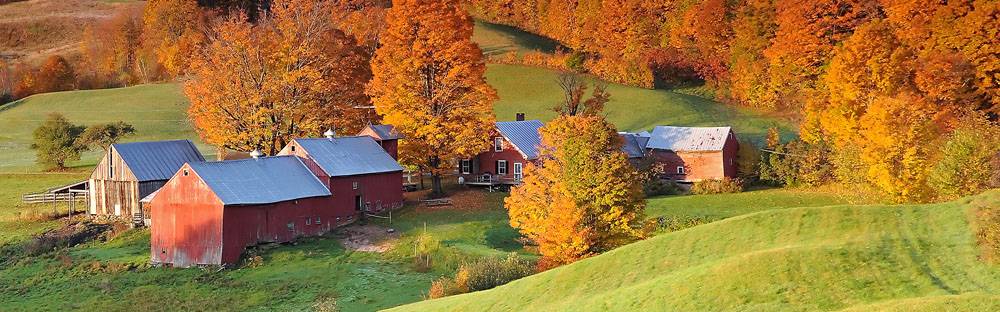 Click to show or hide the buttons